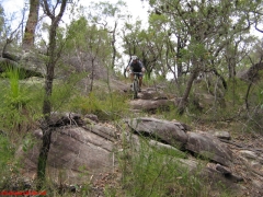 20070114-Coba 190 
